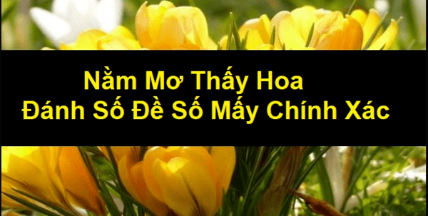 Mơ thấy hoa