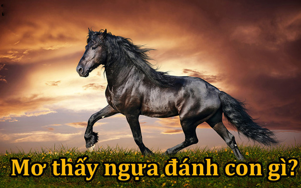 mơ thấy ngựa
